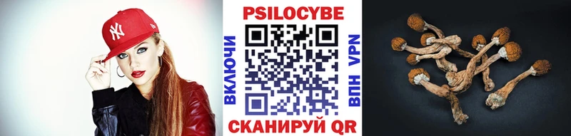 Псилоцибиновые грибы прущие грибы  Кизел 
